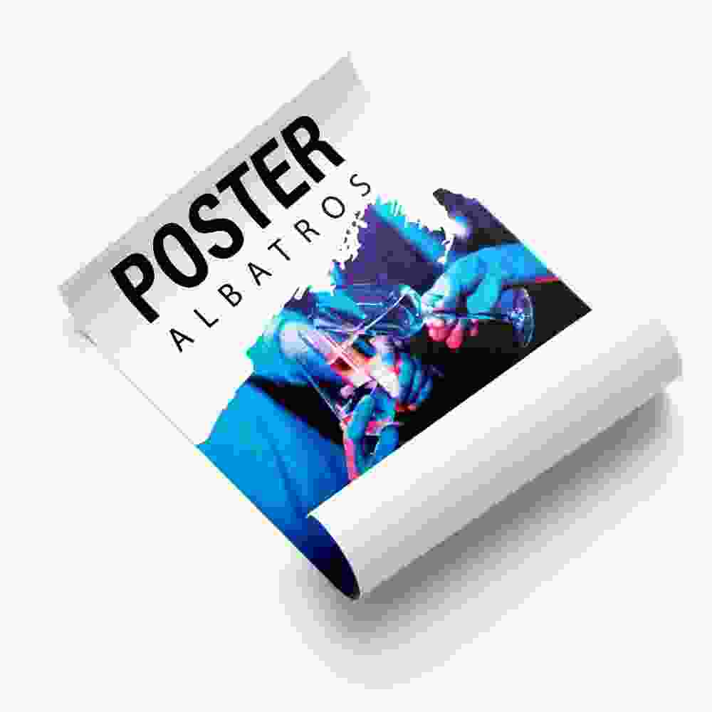 Poster Albatros